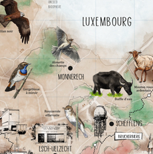 MAN AND BIOSPHERE CARTE