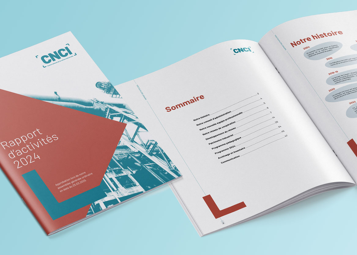 CNCI – rapport d&rsquo;activité