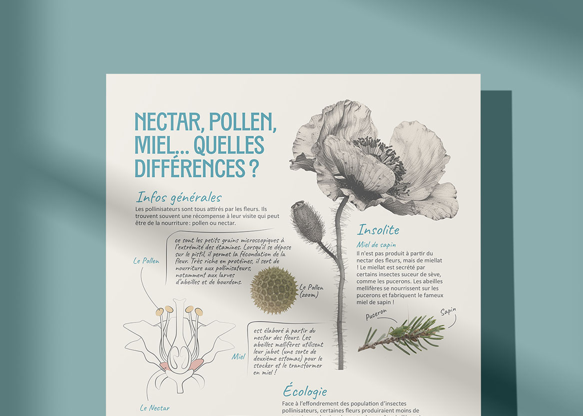POLYNATURE FICHES